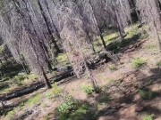 Beast Hunters-- The Ladybuss Succubus  6/16