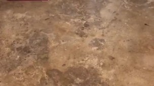 Insane cumshot flys across my floor! (10 feet!)