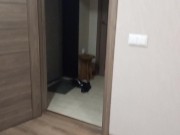 She seduced the courier while there is no husband - GeroinNut