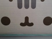 Super Awesome PTD 13/16