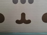 Super Awesome PTD 16/16