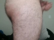 Colombian Cock