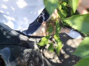 Nerdy Faery: I Love my Keds. Pissing and INsertion 3/16