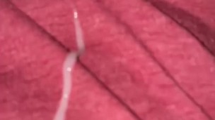Slow motion cum