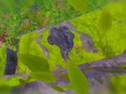 anal sex for furry sex gied with a monster 2/16