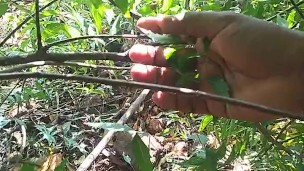 Outdoor video nude