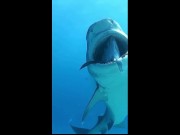 You've Got a Friend in Me 10/16