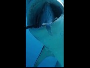 You've Got a Friend in Me 16/16