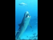 You've Got a Friend in Me 3/16