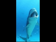 You've Got a Friend in Me 8/16