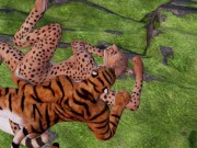 Ловля кота FURRY porno of lesbians 9/16