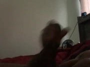 Bored in the house! Decided I need to make some videos