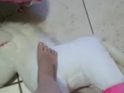 UNICORN Trampling