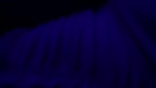 Black Light Touching 