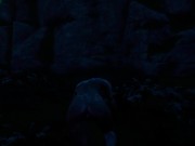 Wild Life - Kim's adventure part 2