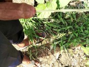 Indian boy Pissing video