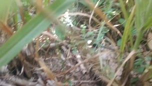 Outdoor video Indian