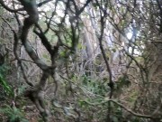 Essa loira gostosa não pode ver uma praia que quer fazer amor ! 3/16