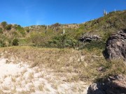 Essa loira gostosa não pode ver uma praia que quer fazer amor ! 4/16