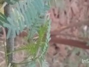 Outdoor river fuck