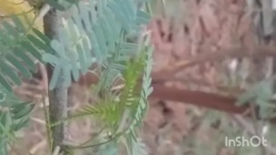 Outdoor river fuck
