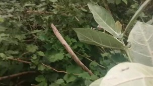 Tamil best fuck