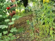 Thick Booty EBONY in MICRO SHORTS in a Public PARK 7/16