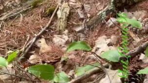 Peeing on a MTB trail 