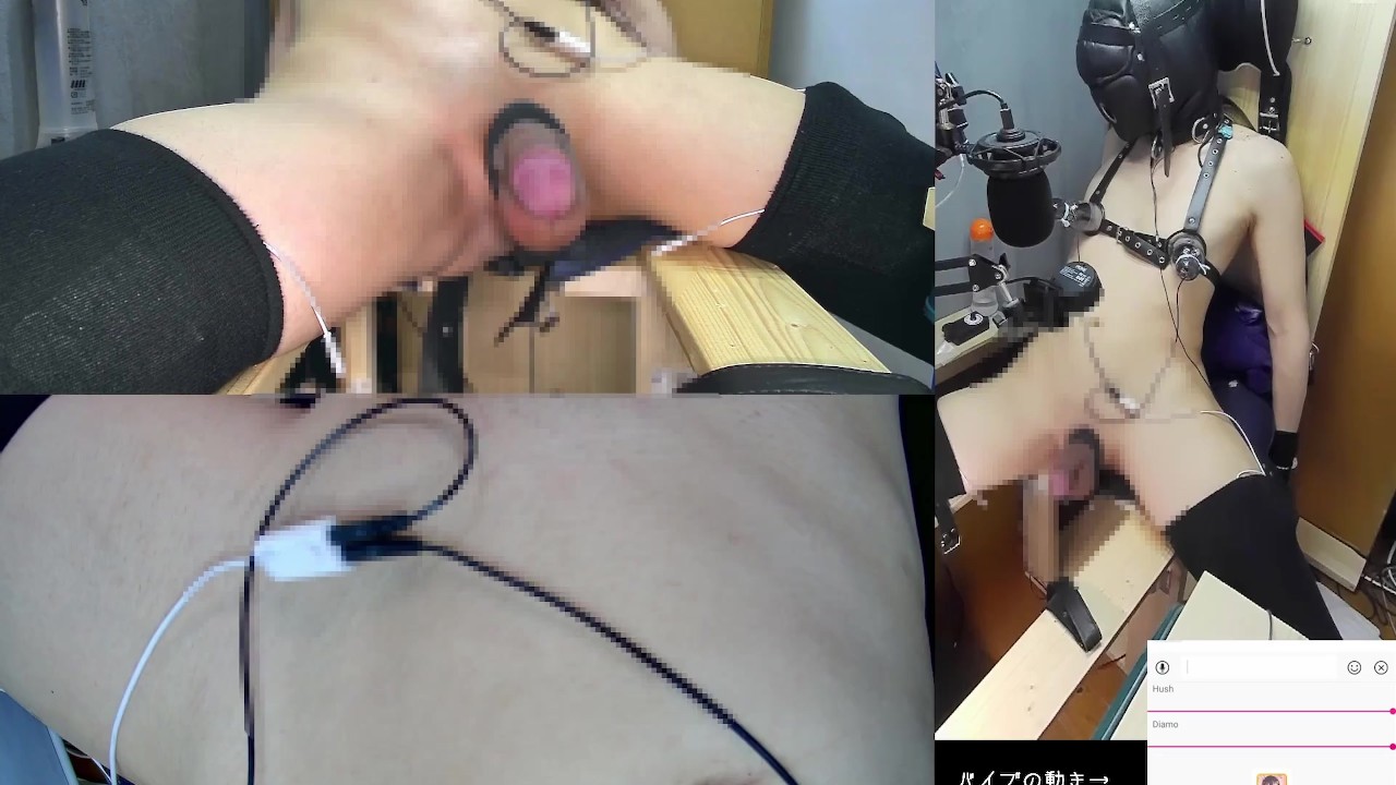 A loser delivery show where I answer comments while exposing my penis for  all to see.,2021-08-13_2