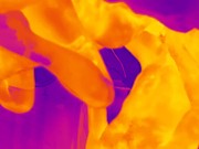 Thermal Camera Porn 12/16