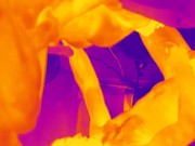 Thermal Camera Porn 15/16