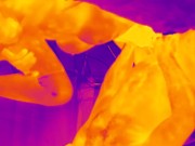 Thermal Camera Porn 2/16