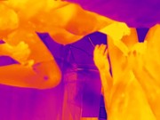 Thermal Camera Porn 3/16