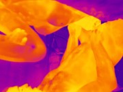 Thermal Camera Porn 6/16