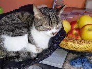 After sex, she hangs out the clothes 9/16