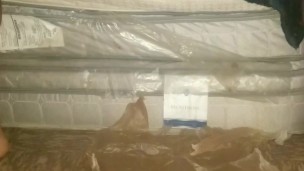 Edging session with multiple explosive cumshots(short
