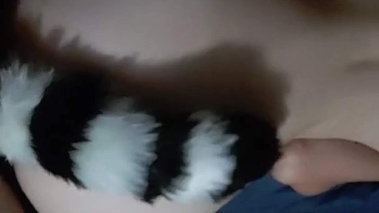 DADDY'S LITTLE SLUT - RedTube
