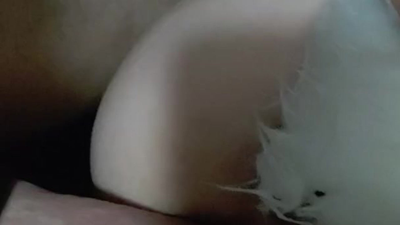 DADDY'S LITTLE SLUT - RedTube