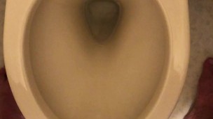 トイレでシコシコオナニー