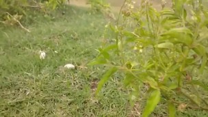 Outdoor hard fuck