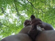 View from below.