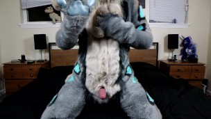 A pent up Lynx pawing off