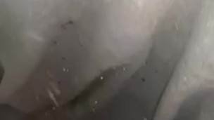 Quick cum shot