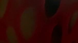 HORNY LITTLE RED 
