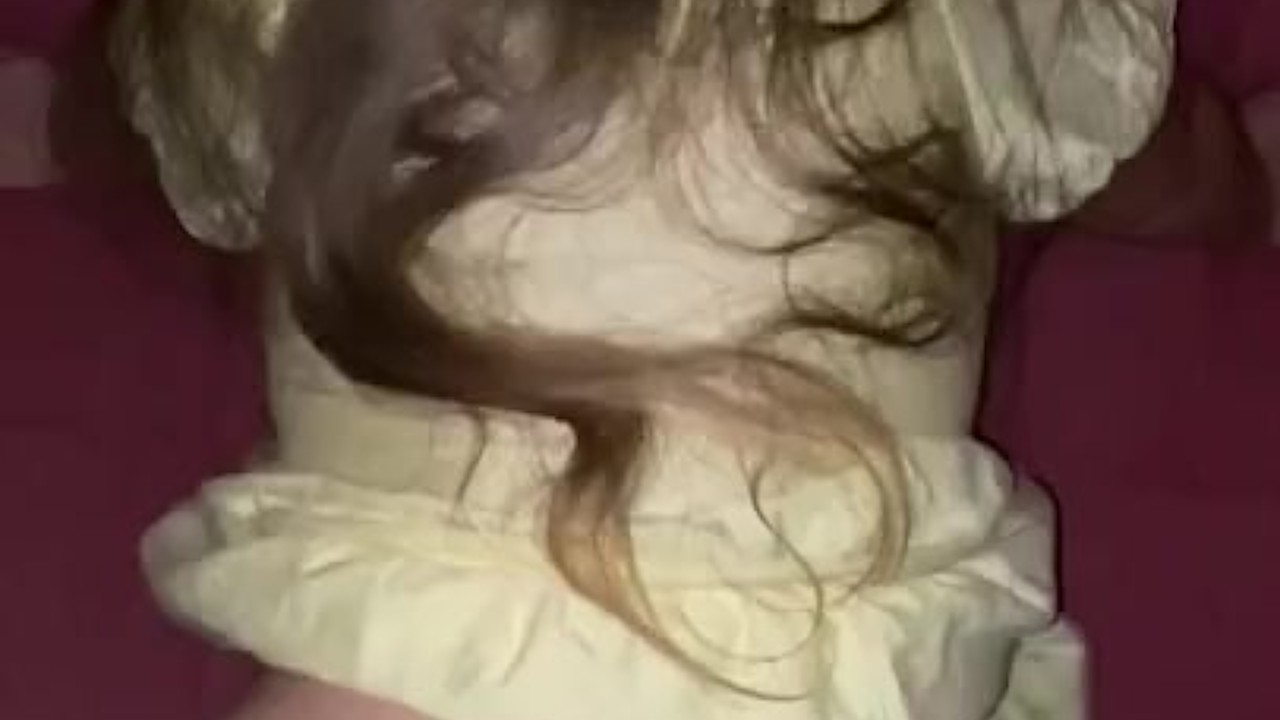 High school girl wit big ass fuck after prom - Free Sex Video - RedTube