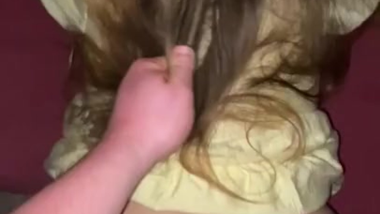High school girl wit big ass fuck after prom - Free Sex Video - RedTube