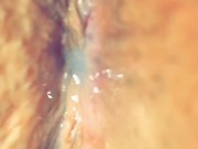 CreamPied Her Asshole 11/16