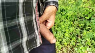 Showing Cock in Open Garden