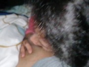 Linda chica morena mamando verga 9/16