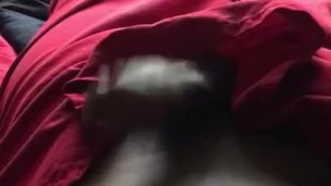 Morning wood
